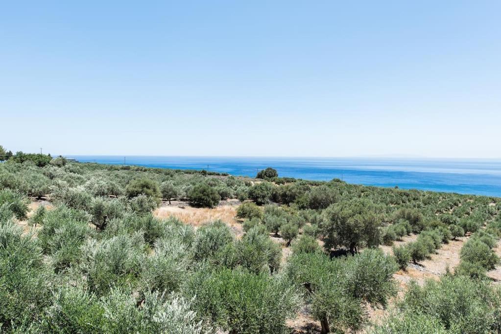 Villa Olvia Sfakia Buitenkant foto