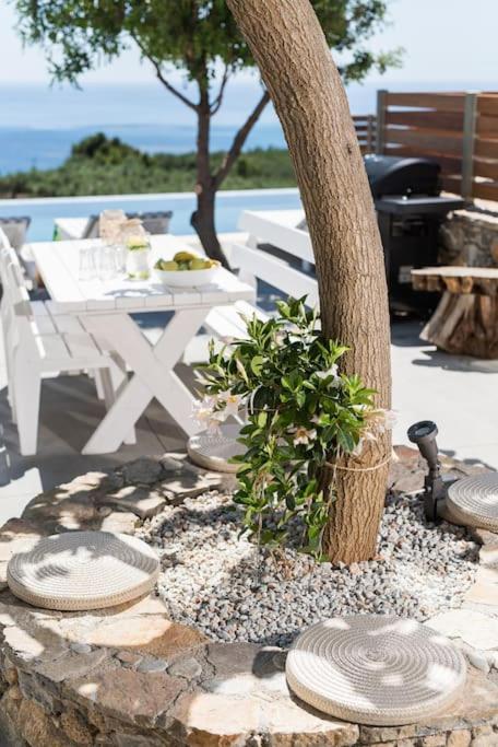 Villa Olvia Sfakia Buitenkant foto